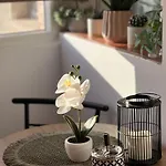07 With Panoramic View Apartamento *