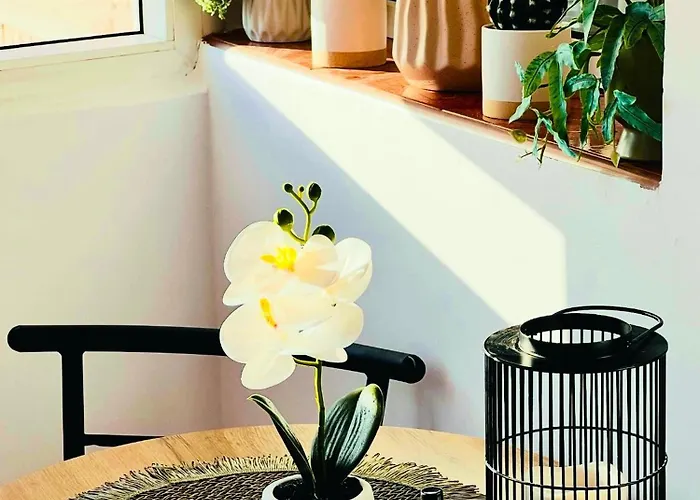 Daire 07 With Panoramic View